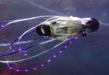 Crean robot calamar para la exploración submarina